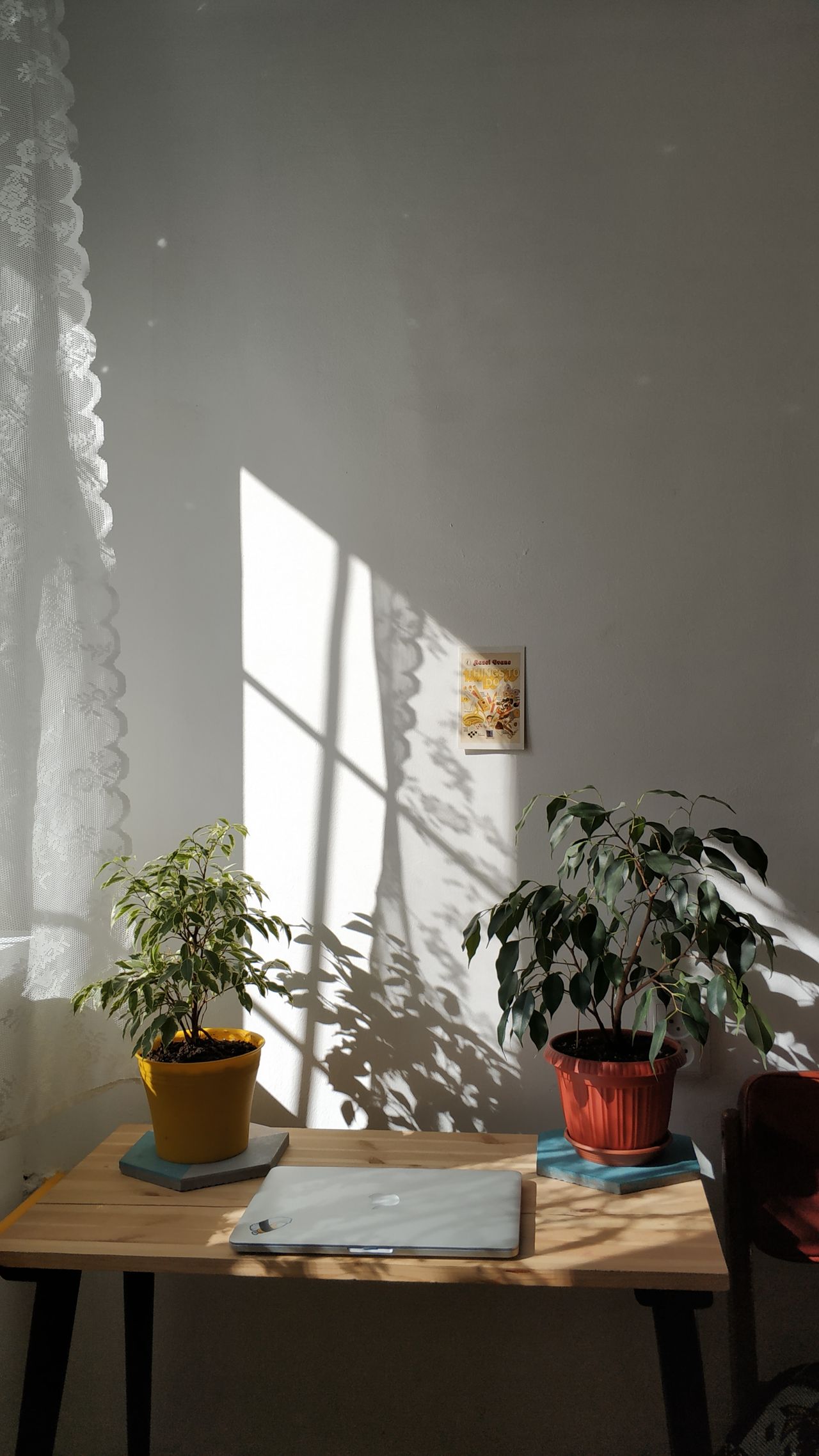 Photo of a workspace with a desk, light and plant